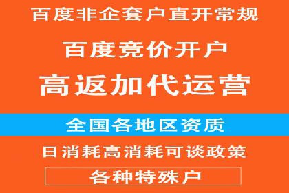行业领先SEM服务公司案例研究